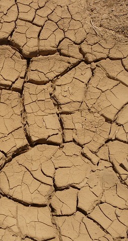 ground, dry, parched, desert, crack